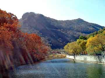 新澳天天开奖资料大全旅游团，武汉新田